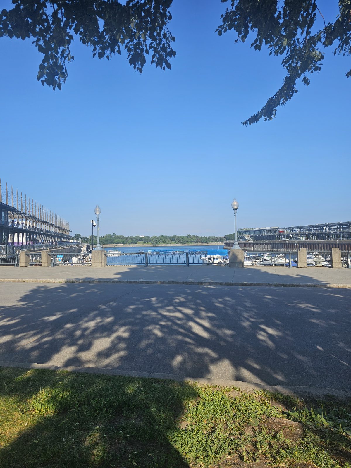 The walk in: the Old Port promenade on a fest morning, before the floor opens.